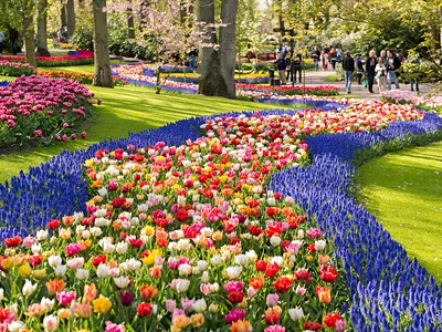 To nejlepší z Amsterdamu + Keukenhof (letecky z Prahy)